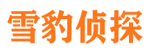 陕西市私家侦探公司